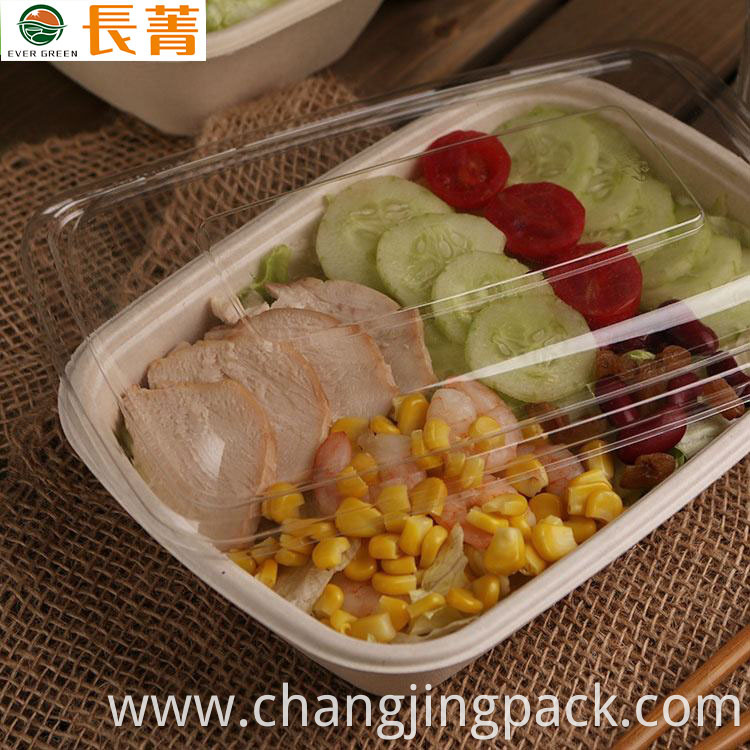  biodegradable plastic containers